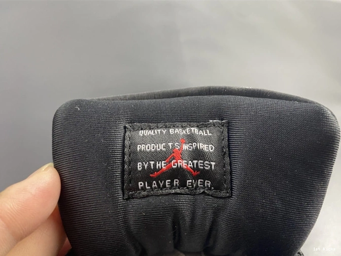 1st Kicks JORDAN INSTINCT AR0715-010 AIR ANIMAL 11 0809